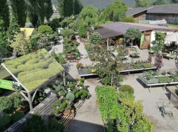 Blick von oben auf den Pflanzenmarkt von Pflanzenvielfalt Rupprechter mit Stauden, Gehölzen und Blütenpflanzen