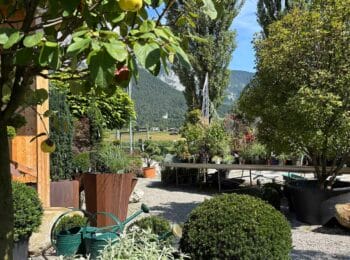 Pflanzenmarkt von Pflanzenvielfalt Rupprechter mit Bäumen, Sträuchern, Formgehölzen und Blick auf die Berge