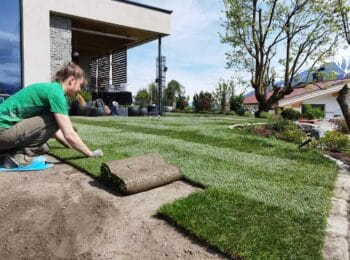 Mitarbeiterin von Pflanzenvielfalt Rupprechter verlegt Rollrasen in einem neu gestalteten Garten
